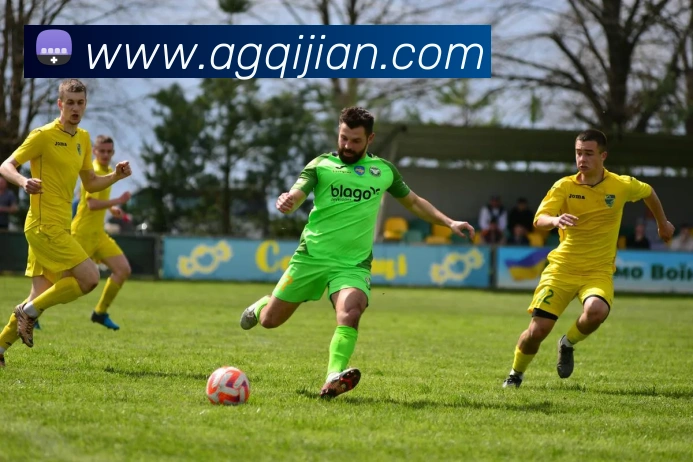 ag百家乐平台生态图